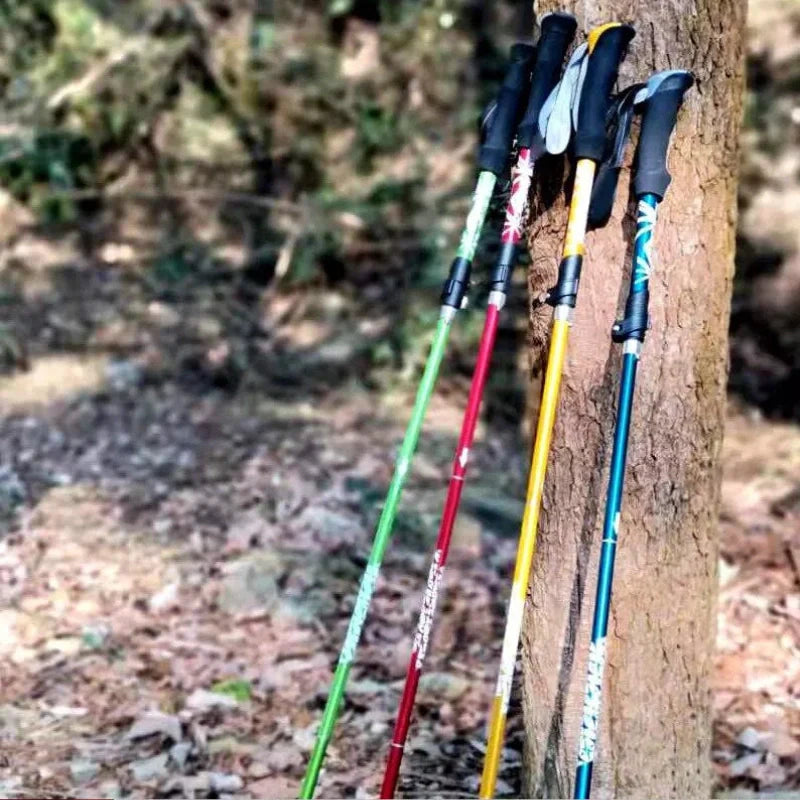 Equipaje Montaña - Bastón de senderismo flexible de 3 secciones