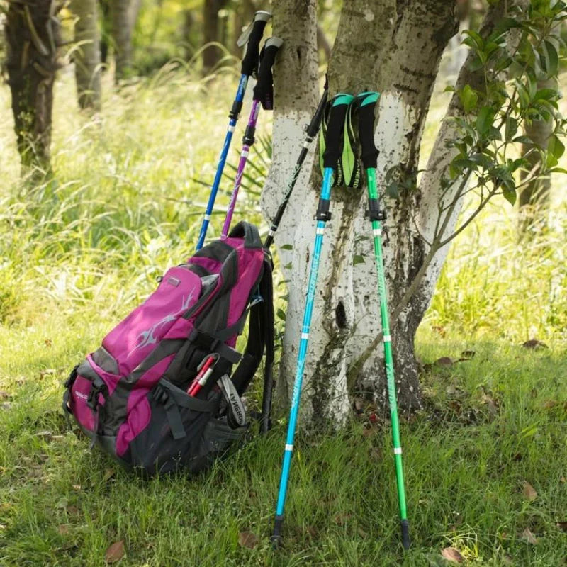Equipaje Montaña - Bastón de senderismo plegable ultra compacto 1 unidad