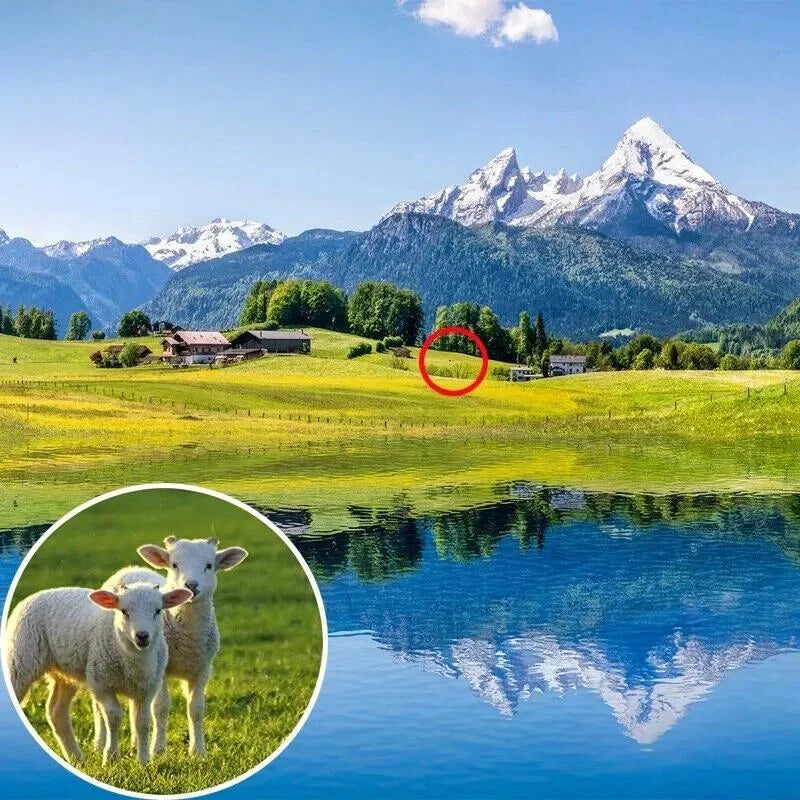Equipaje Montaña - Binoculares de senderismo para niños
